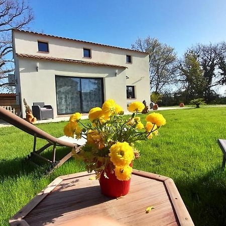 Meyrargues Villa Sandrine, Confortable Et Cosy Proche D'Aix En Provence מראה חיצוני תמונה